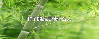 ​竹子的品质像什么人的作文300字 竹子的品质像什么人的品质作文80字