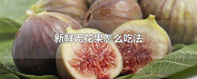 ​新鲜的无花果怎么吃? 无花果新鲜的如何吃