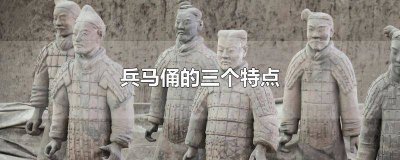 ​兵马俑的特点是什么简介怎么写 兵马俑主要特点是什么