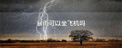 ​大暴雨可以坐飞机吗 暴雨飞机可以飞吗