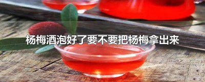 ​泡好的杨梅酒要放冰箱吗 自己泡的杨梅酒可以放冰箱吗