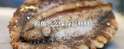 ​新鲜的鲍鱼怎么保存最新鲜又好吃 新鲜的鲍鱼怎么保存最新鲜图片