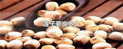 ​莲子要泡多久才可以打豆浆喝 莲子要泡多久才可以打豆浆吃