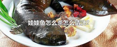 ​娃娃鱼的清洗方式视频 娃娃鱼处理