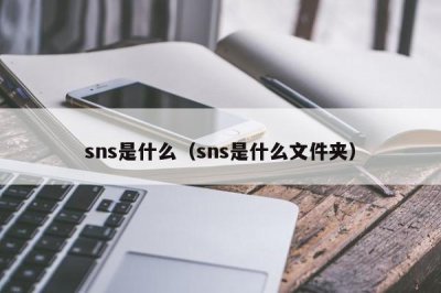 ​sns是什么（sns是什么文件夹）