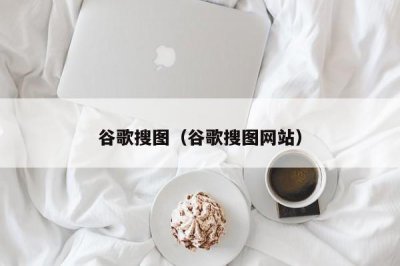 ​谷歌搜图（谷歌搜图网站）