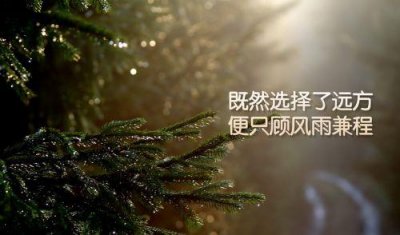 ​外国经典励志正能量格言