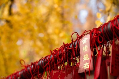 ​持续关注！21省市高考提前批投档线已公布！