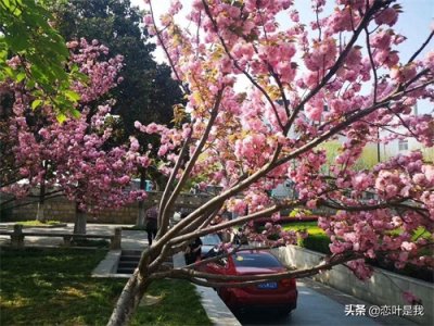 ​苏州百花洲公园