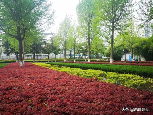 苏州百花洲公园
