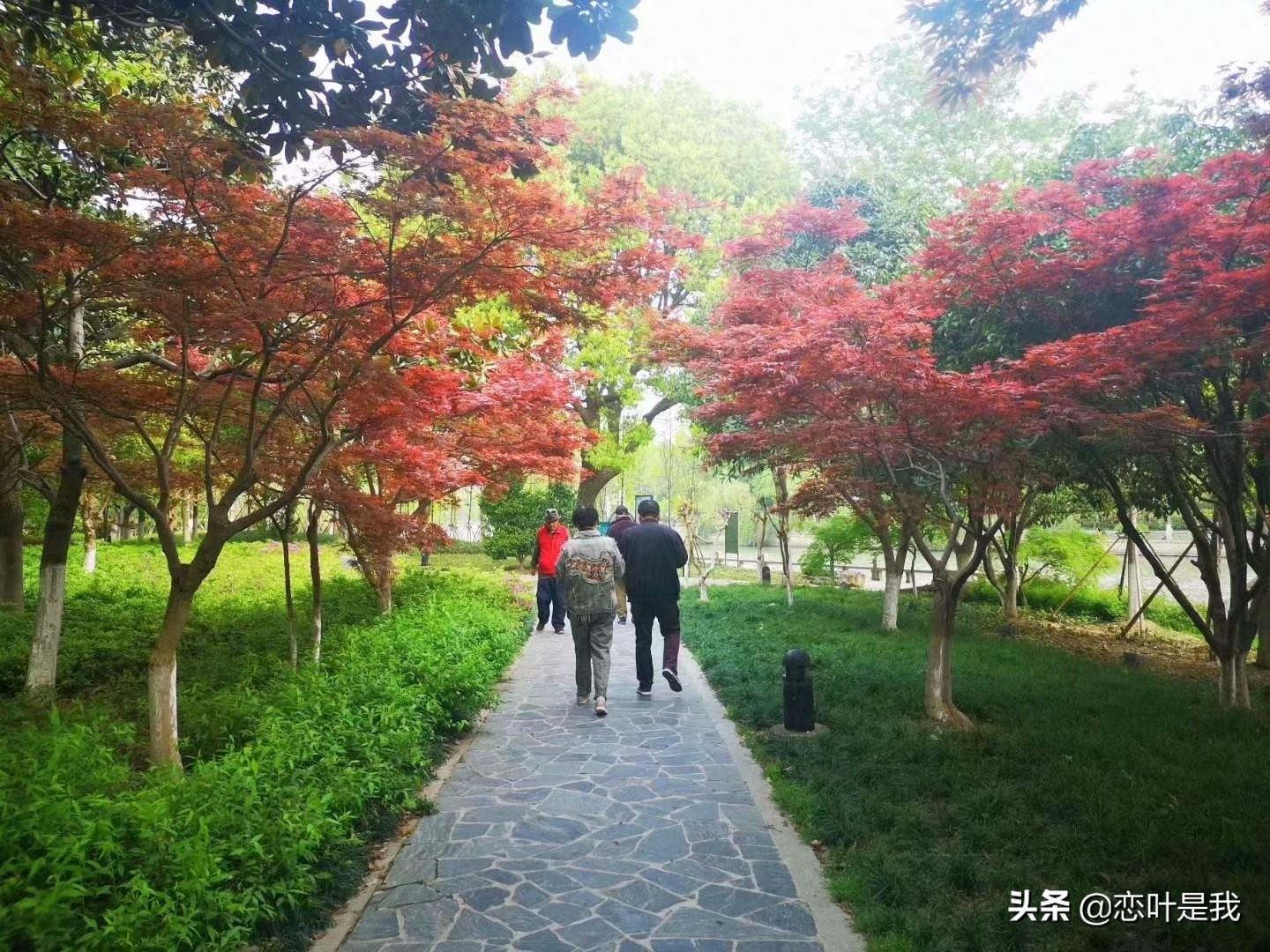 苏州百花洲公园