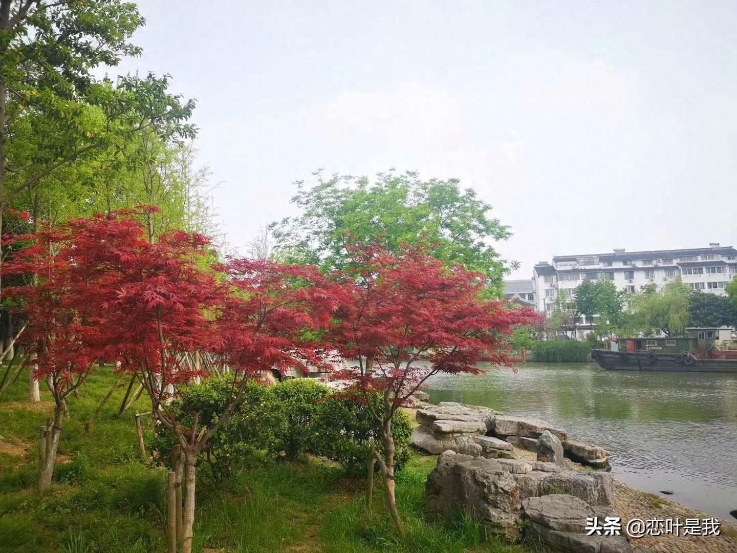 苏州百花洲公园