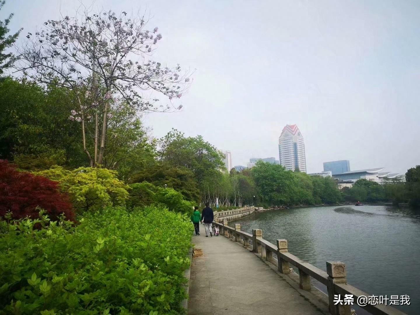 苏州百花洲公园