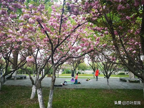 苏州百花洲公园