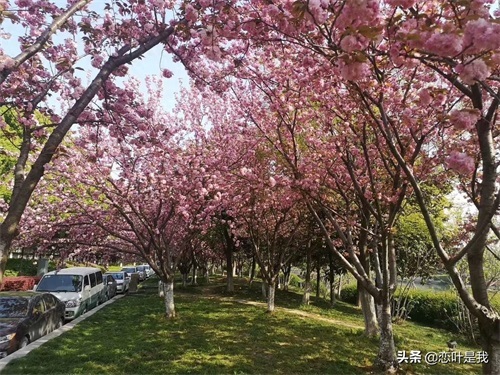 苏州百花洲公园