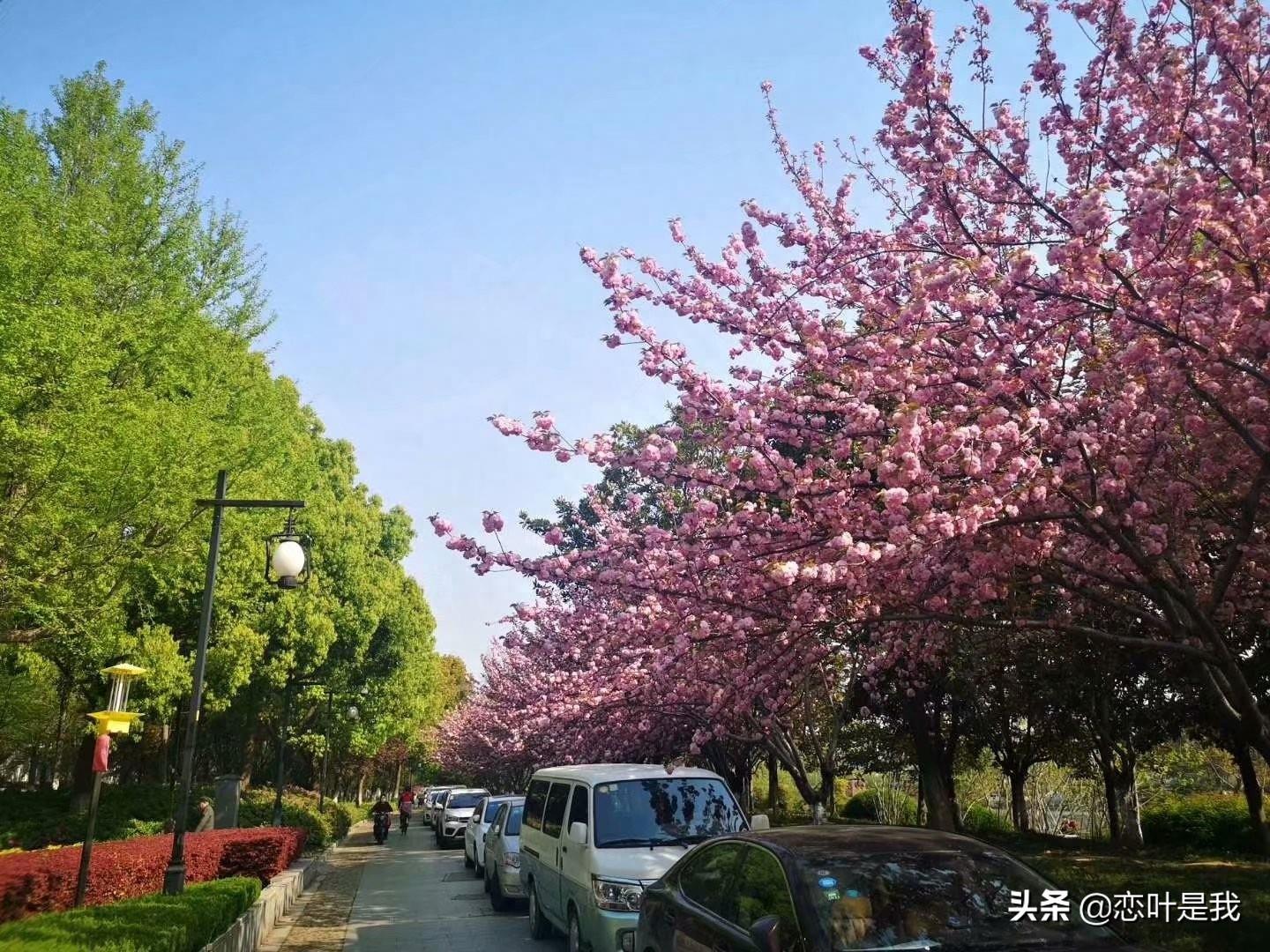 苏州百花洲公园