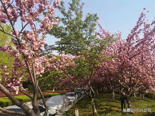 苏州百花洲公园
