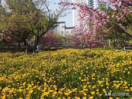 苏州百花洲公园