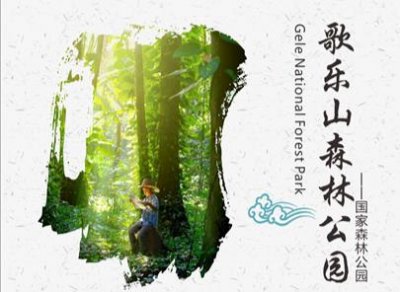 ​【重庆风景名胜】歌乐山森林公园