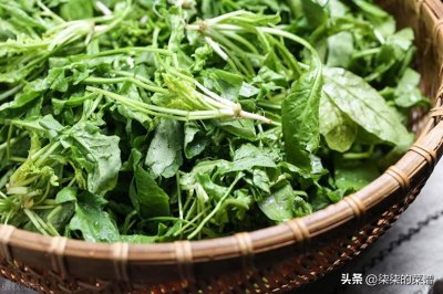 ​调荠菜饺子馅，不要加一堆调料，分享正确调馅配方，肉馅鲜嫩美味