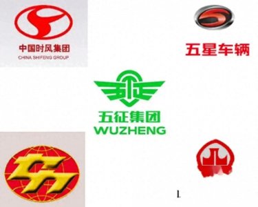 ​中国“神车”陨落记：