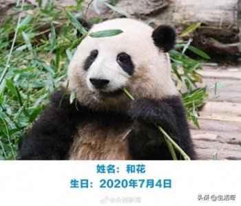 ​祝福！成都“顶流姐妹花”宣布单飞