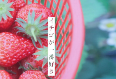 ​适合发朋友圈的精美短句句子(精选95句)