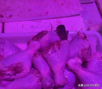 ​女子买菜看有老鼠狂啃食鸡腿，当事人差点吐了