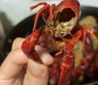 ​买壳送肉?100块钱的龙虾竟有“90块钱的壳”