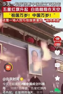 ​国庆庆典活动中，那些被放飞的和平鸽从哪儿来的？又将飞往何处？