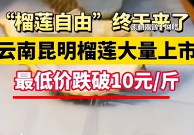 ​价格一度窜上天的榴莲