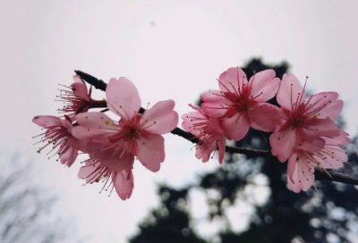 ​他人皆地狱？