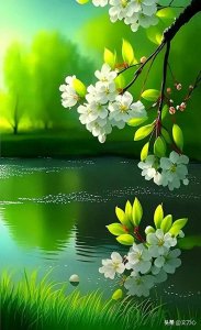 ​静待花开