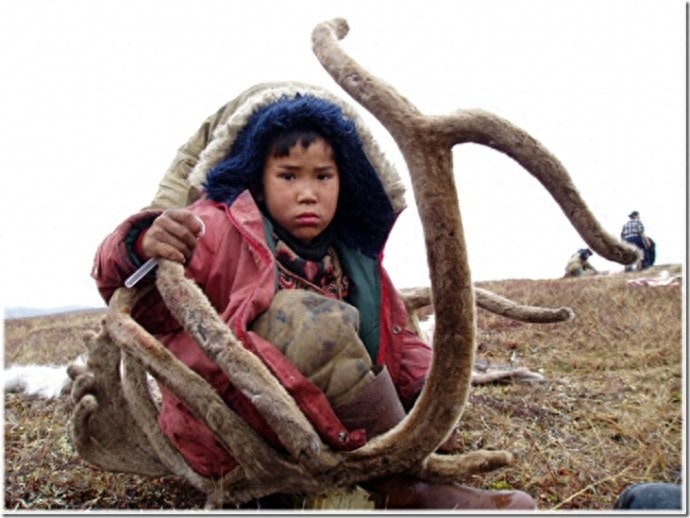 实拍:楚科奇半岛人的原始生活,仍然茹毛饮血