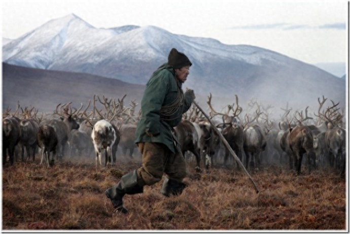 实拍:楚科奇半岛人的原始生活,仍然茹毛饮血