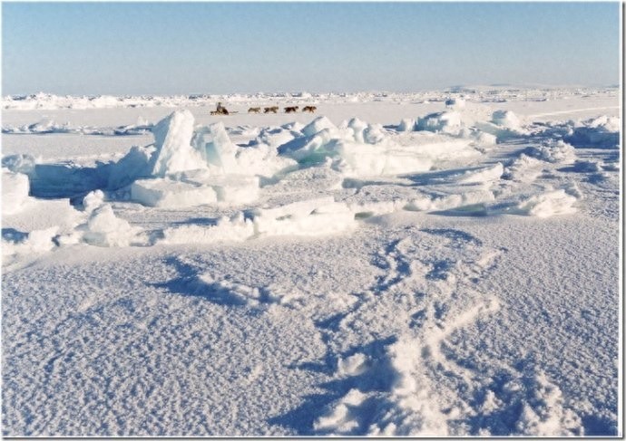 实拍:楚科奇半岛人的原始生活,仍然茹毛饮血