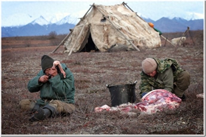 实拍:楚科奇半岛人的原始生活,仍然茹毛饮血