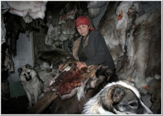 实拍:楚科奇半岛人的原始生活,仍然茹毛饮血