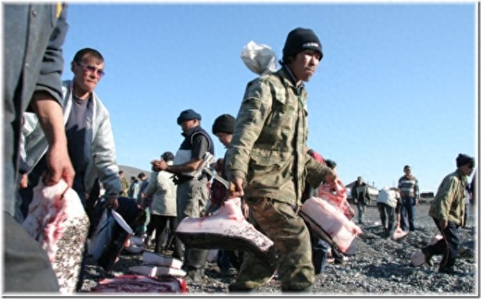 实拍:楚科奇半岛人的原始生活,仍然茹毛饮血