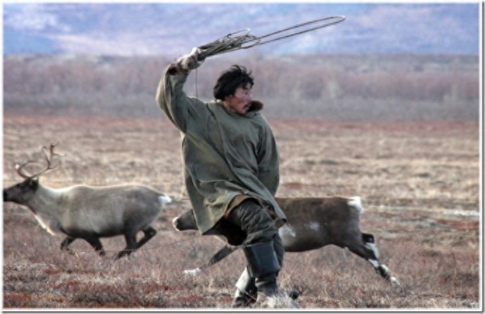 实拍:楚科奇半岛人的原始生活,仍然茹毛饮血