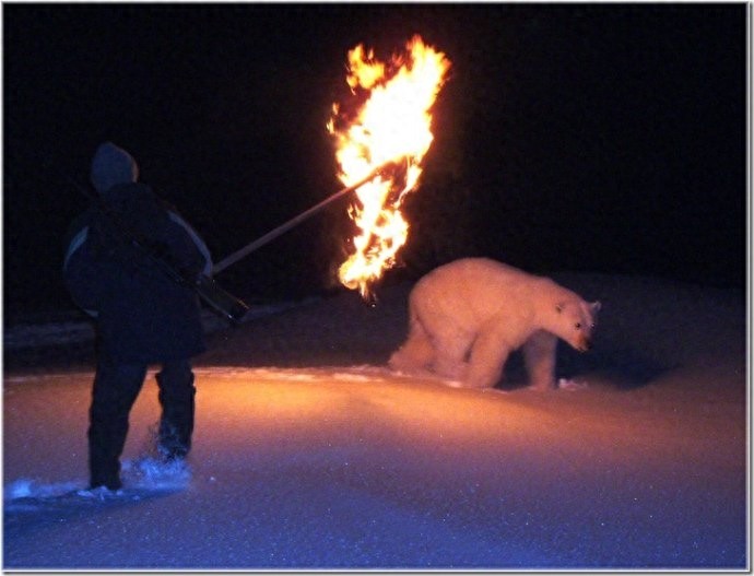 实拍:楚科奇半岛人的原始生活,仍然茹毛饮血