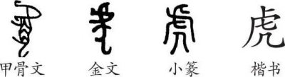 ​虎年即将来临，“虎”字的演变过程及写法？