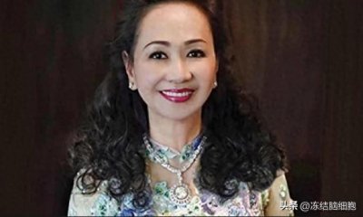 ​越南女首富张美兰是谁？