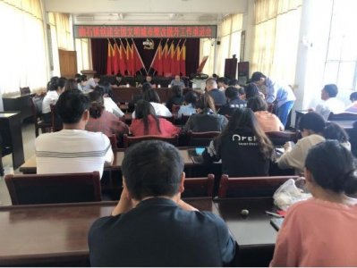 ​腾冲曲石镇：用心用情力促创文成效