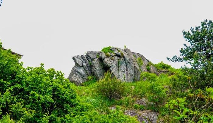 南武当山中国著名道教文化圣地、武当南宗发源地、武当武术基地！