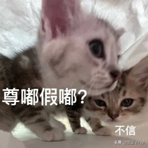 ​“深秋王者归来”，上