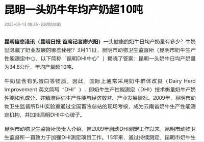 ​奶牛到底有多高产？昆明市动物卫生监督所昆明DHI中心还是谦虚了