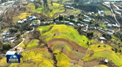 ​又上《新闻联播》甘肃最早的春天！油菜花竞相绽放强势“刷屏”！