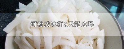 ​河粉放冰箱5天能吃吗