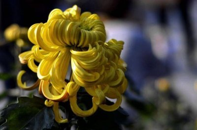 ​寒衣节是什么日子? 下元节是什么意思